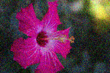 File:Carlinet.2014.icip Flower foveon.png