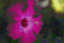 File:Carlinet.2014.icip Preorder-lum-pmean-flower foveon-00100.png