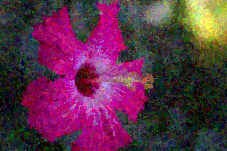 File:Carlinet.2014.icip Distancebased-flower foveon-00009.png