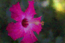 File:Carlinet.2014.icip Marginal-flower foveon-00030.png