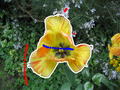 Carlinet.15.tip-flower.png