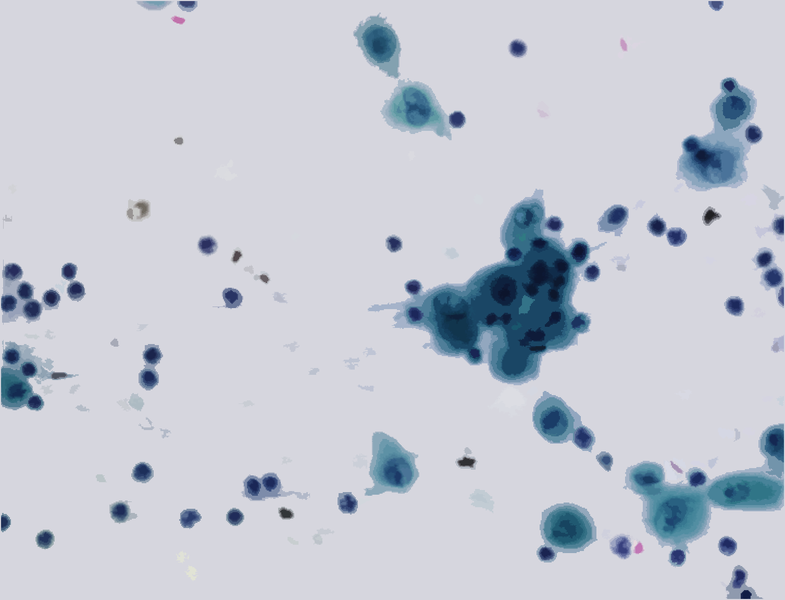 File:Carlinet.15.tip-01122182-0024-rgb-0.05.png
