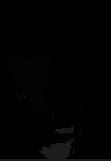 oln_level_frontp_connected_component.png