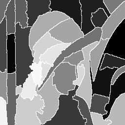 oln_morpho_watershed_seg.png